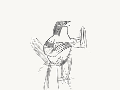 Songbird Sketch bird concept idea sketch