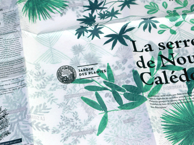 The Museum's Greenhouses didactic editorial design illustration print science illustration