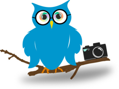 Hoot Owl Concept Logo branding icon illustration illustrator logo logotype minimal vector