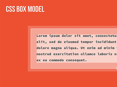 CSS Box Model box model css slide