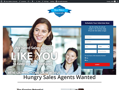 WordPress Sales and Landing Pages branding design landing design landing page sales pages