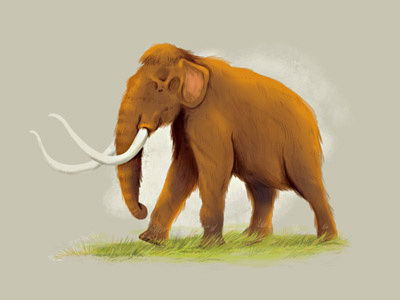 Species 4 animal animals art caceres diego digital illustration illustrator mamut photoshop species