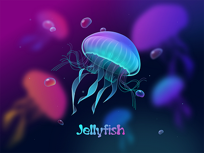 Jellyfish sketch