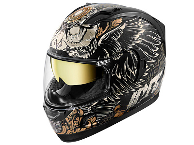 Icon Watchkeeper helmet icon motocycle owl vector