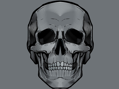 Etched Skull etched skull vector