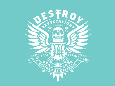 Destroy Expectations hoodie skull vector vector illustration wings