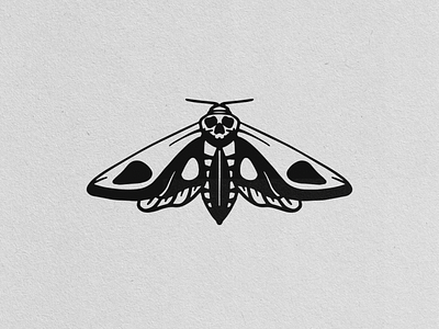 Moth branding design graphic design illustration logo typography vector