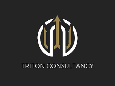 Consultancy Firm Logo