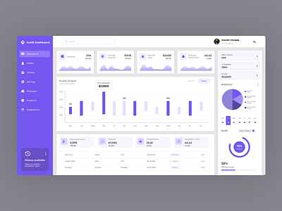 Audit Dashboard by MANISH CHUTAKE on Dribbble