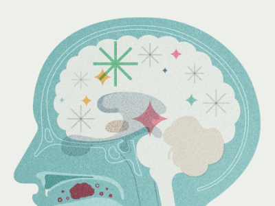 Your Brain's Reaction to Flavor brain diagram flavor food head scientific senses