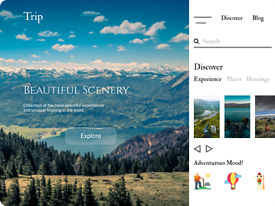 Trip ui ui ux webdesign
