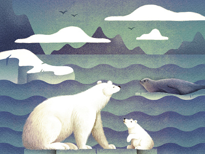 Polar Bears bear ice illustration polar bear sea seal