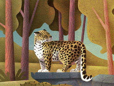 Russia forest illustration leopard russia