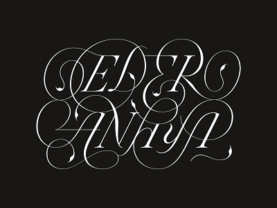 Eder Anaya – Custom Logotype custom type lettering logo logotype script type typography vector wordmark
