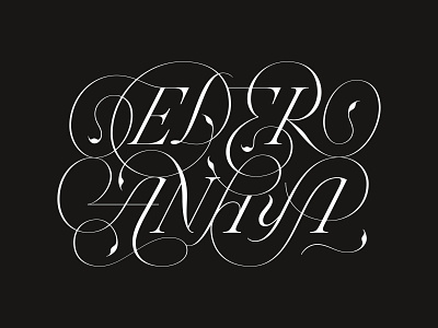 Eder Anaya – Custom Logotype custom type lettering logo logotype script type typography vector wordmark