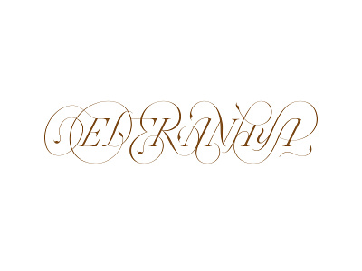 Eder Anaya – Custom logotype 1 line custom type lettering logo logotype script type typography vector