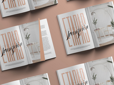 Editorial Lettering - Etapas en Transición custom type design lettering magazine magazine design print print design script type typography
