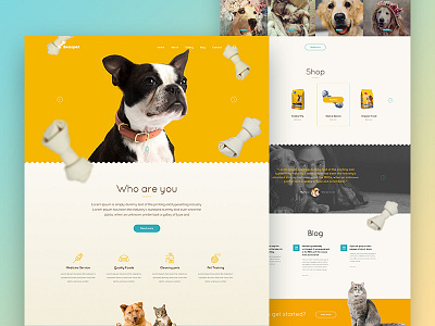 BnB Wordpress Theme for Pet Service