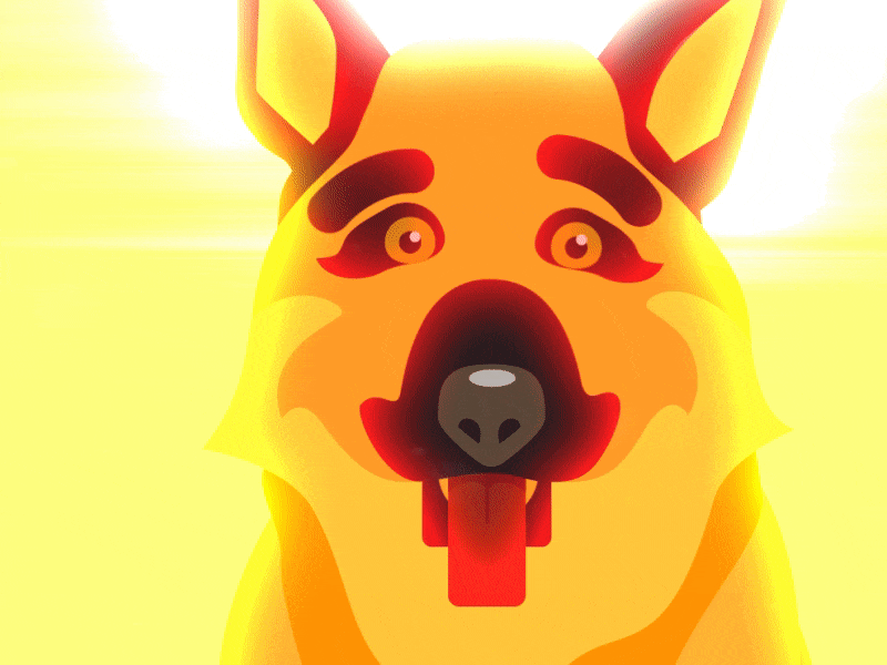 Doggo Animated animation dog dogg german shepherd golden illustration motion shepard sun