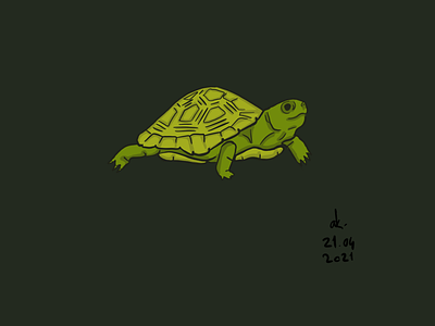 Turtle animal art drawing illustration sketch turtle