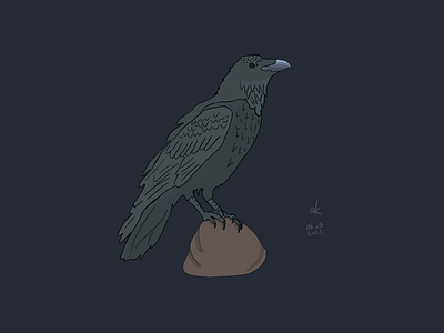 Raven (Muninn) animal drawing illustration raven sketch