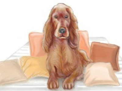 Woof dog illustration thenorthsea tuftandneedle watercolor