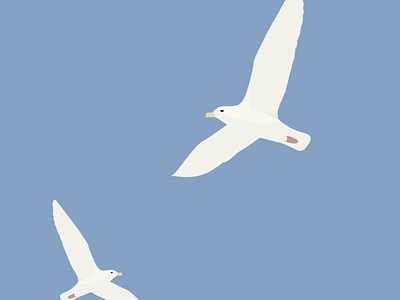 Birds - Nice adobe birds draw graphic design illustration illustrator minimaliste ocean sea seagull vector