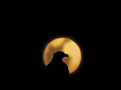 Night Eagle adobe bird draw eagle graphic design illustration illustrator minimaliste moon night