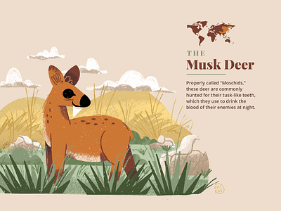 The Musk Deer animal deer design grasslands illustration landscape mountains