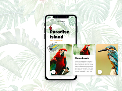 Birds of Paradise app birds concept experience ios iphone x island ui ux