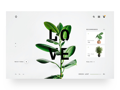 Plant Junkie Landing Page