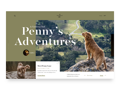 Penny Lane the Golden Retriever adventure beatles color concept design dogs interface minimal penny product puppy responsive tail typography ui ux web web design website woof
