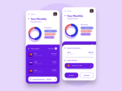 Upcoming Expenses Concept activity breakdown color concept design expenses interface method minimal mobile payments pie product typography ui ux web