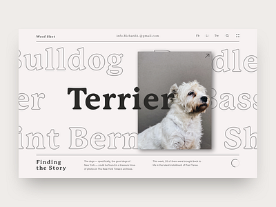 Woof Woof branding color concept design interface minimal product typography ui uiux web web design