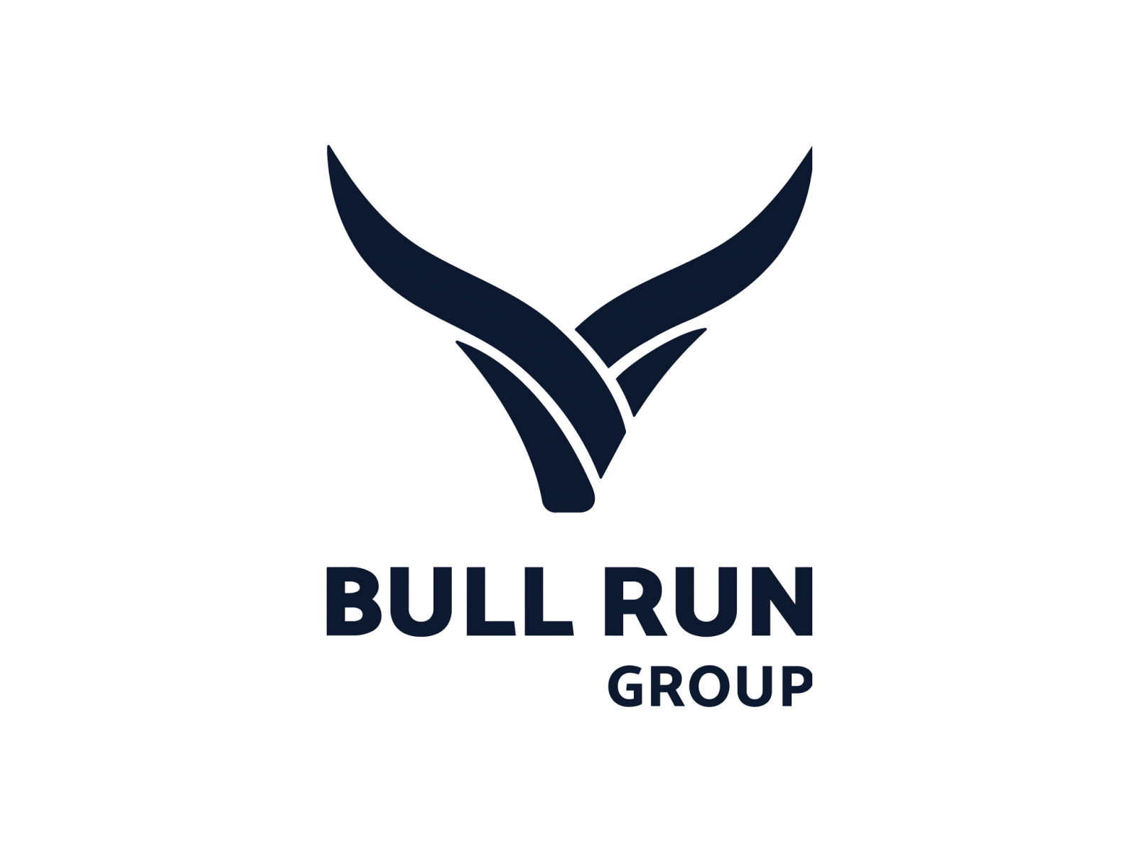 Bull Run Group Logo Design branding design fedex hr logo logoset vector