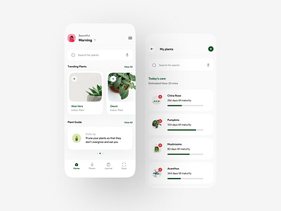 Plant App 🌵