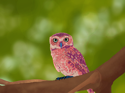 Owl Magic digital art digital artwork digital drawing digital painting illustration owl owl illustration