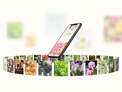 Aroma Index | Branding, Mobile App UIUX Design android app aroma index aromatherapy branding design essential oil floral icon ios mobile natural plants siuroma ui ux