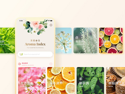 Aroma Index | Branding, Mobile App UIUX Design android app aroma index aromatherapy branding design essential oil floral icon ios mobile natural plants siuroma ui ux