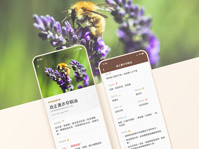 Aroma Index | Branding, Mobile App UIUX Design android app aroma index aromatherapy design essential oil floral icon ios lavender mobile natural plants siuroma ui ux