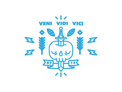 Veni vidi vici