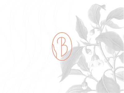 Bertina b b logo branding guadalajara handcraft icon jam mexico