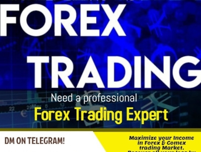 What is the best Forex signal WhatsApp group australia dubai flat forex forex signals forex trading hongkong kuwait saudiarabia whatsapp