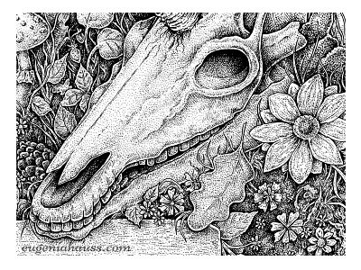 Unicorn Skull - Fragment artwork drawing fantasy feather flower illustration ink mushroom nature ribbon skull unicorn