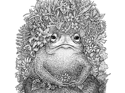 Frog animal art artwork black and white drawing flowers frog hand drawn illustration ink nature swamp