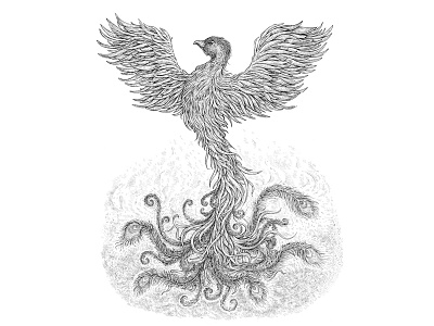 Phoenix bird drawing feather fenix fire freedom ink musical myth phoenix rebirth tattoo