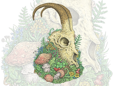 Floral Skull animal apparel design art digital painting hand drawn horns ink mixed media mushroom nature skull
