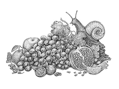 Luxury Of Autumn Textures art black and white fruits grapes ink nature pomegranate sketch snail tangerine texture walnut