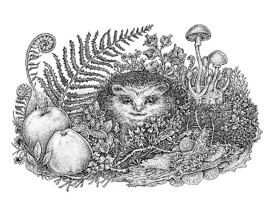 Hedgehogs’ life, Part II animal apple art black and white cute flora and fauna forest hedgehog ink natural nature sketch