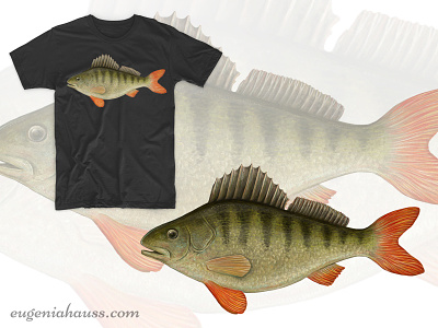 Perch on T-Shirt animal apparel design art digital art digital painting fauna fish illustration perch realistic